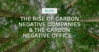 The rise of carbon negative companies and the carbon negative office