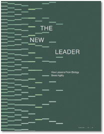 the new leader cover