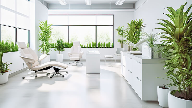 white_office_biophilic_design