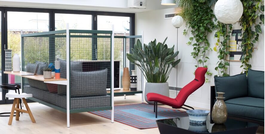 new-product-established-&-sons-grid
